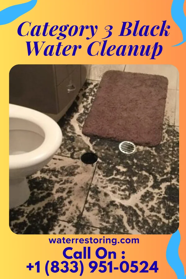 Category 3 Black Water Cleanup in Heathrow, FL