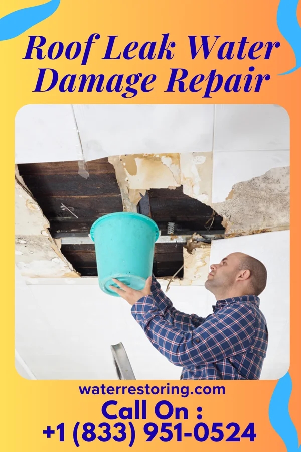 Roof Leak Water Damage Repair in Heathrow, FL