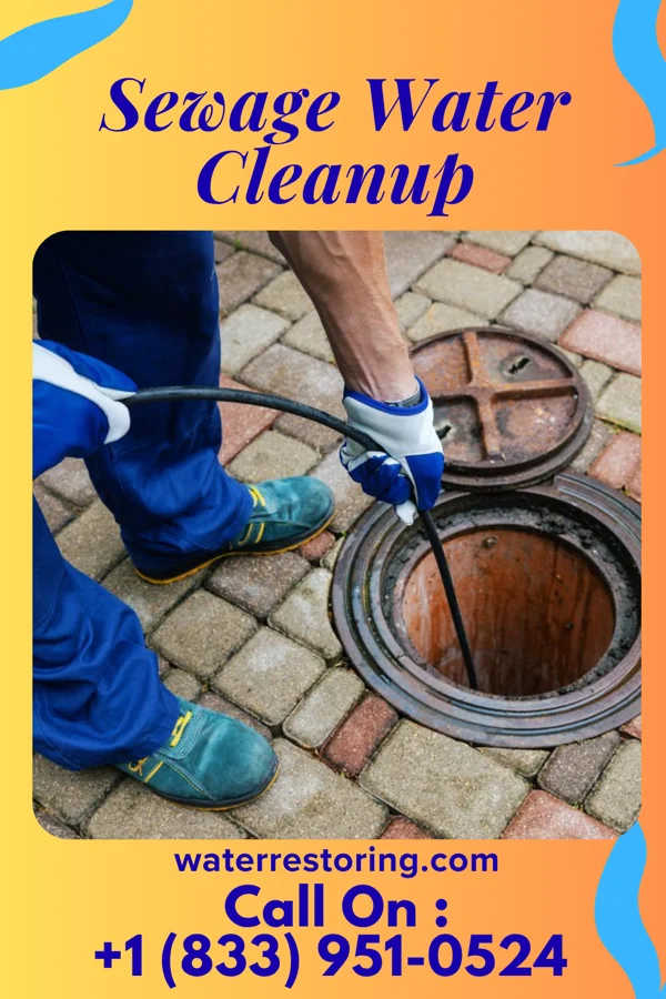 Sewage Water Cleanup in Heathrow, FL